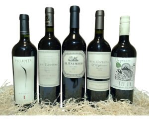 Pack 5 Vinos Tintos Malbec Cabernet Bonarda 750ml Añejados